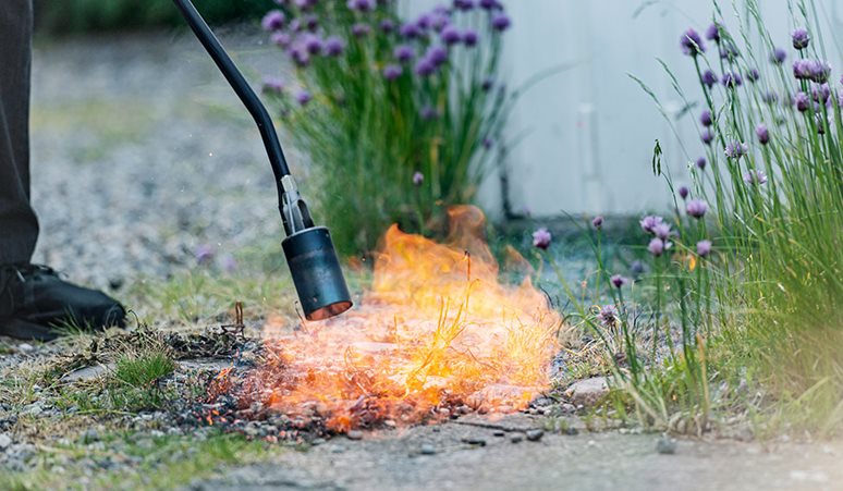 En person bruger en ukrudtsbrænder til at fjerne ukrudt i en stenbelagt gårdsplads.